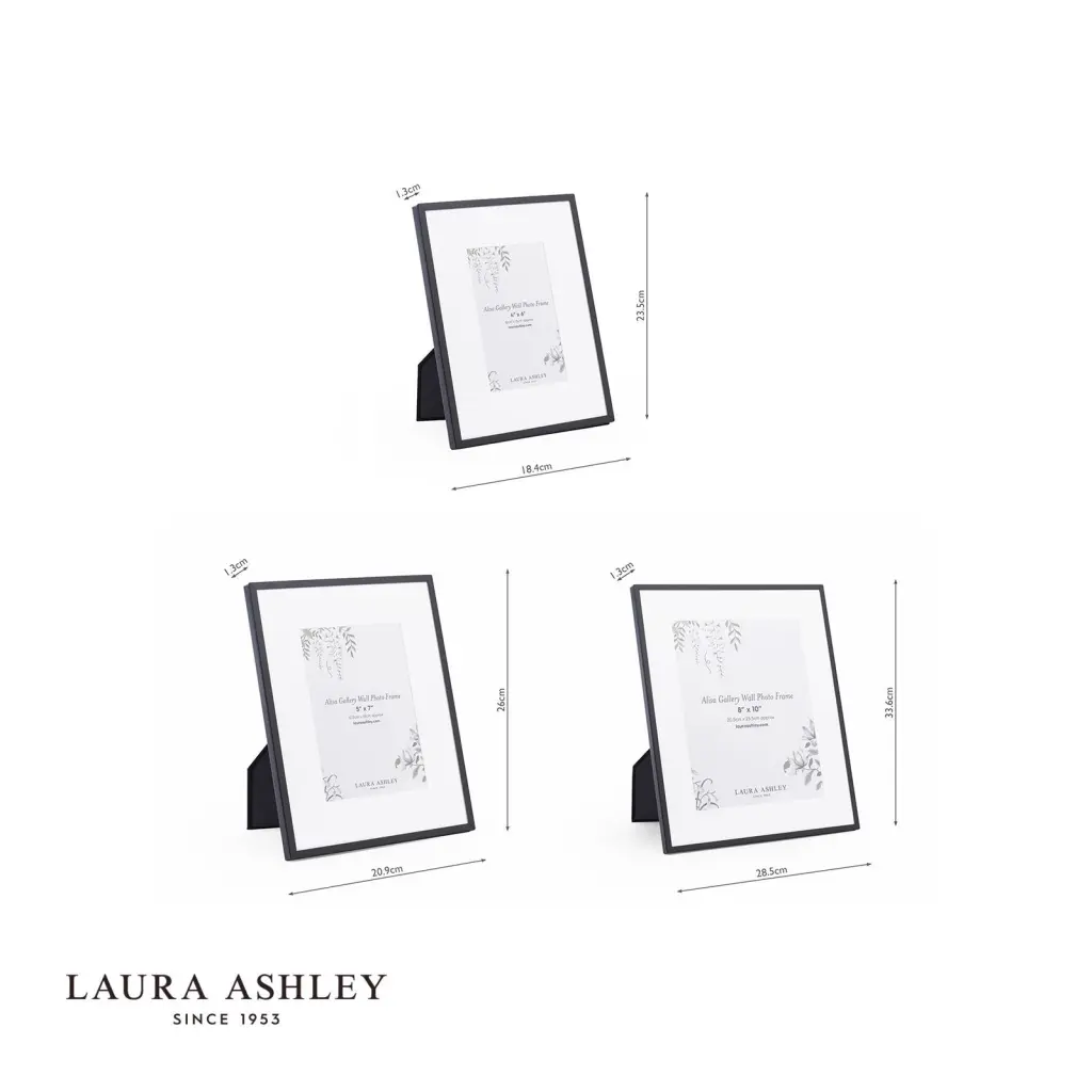 Set of 3 Alisa Matt Black Photo Frames