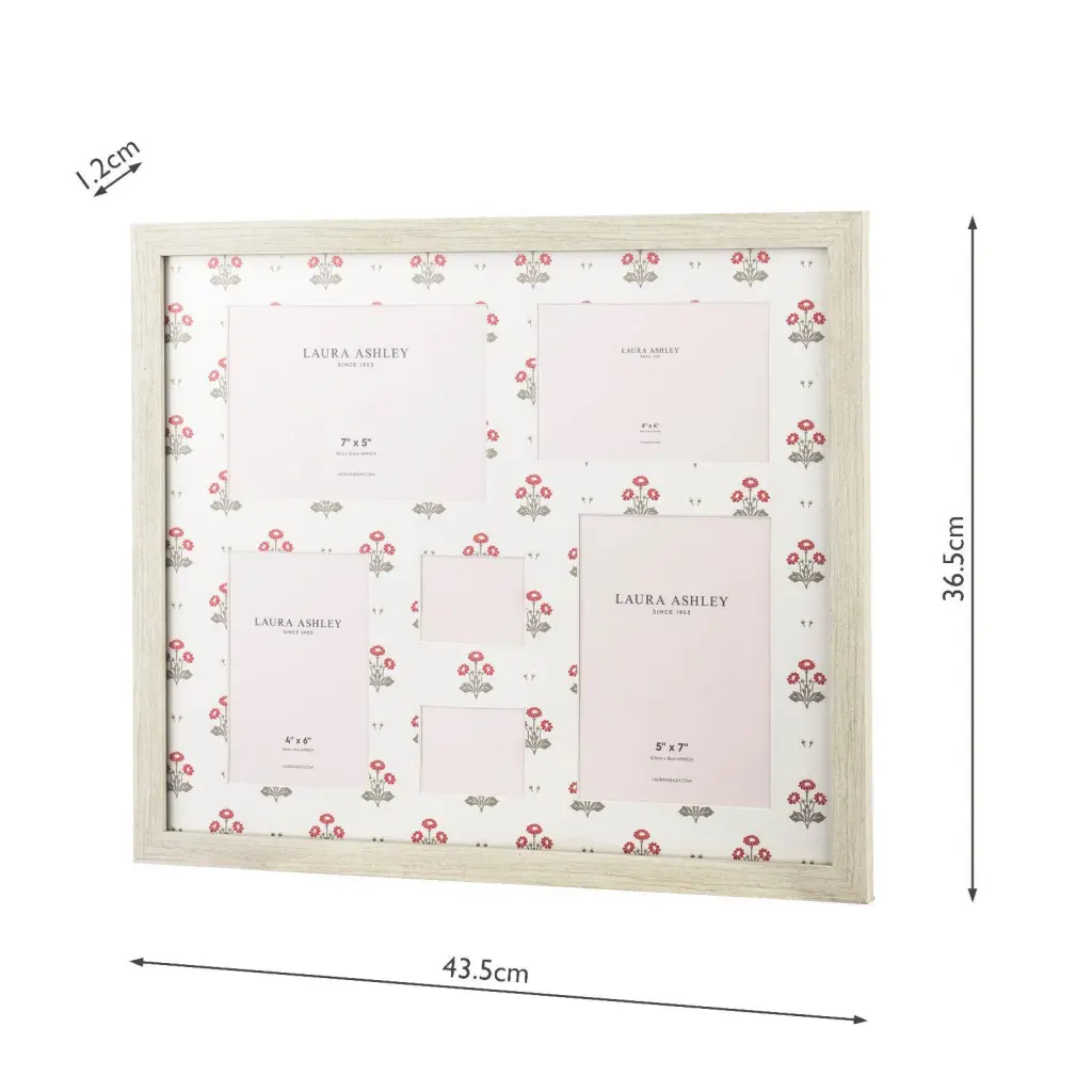 Harthill Daisy Multi Coloured Photo Frame