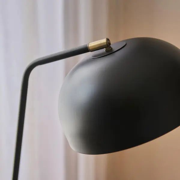 Brair Matt Black Floor Lamp with Antique Brass Detail