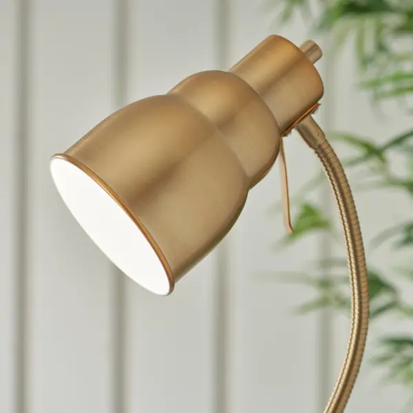 Classic Flexi Floor Lamp in Aged Brass