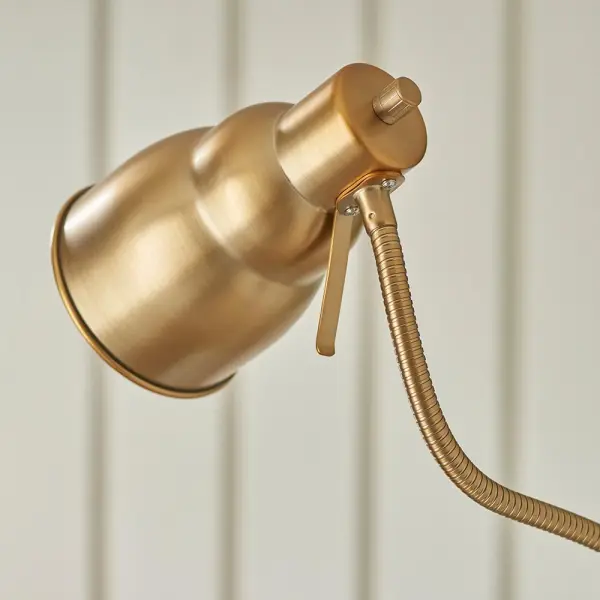 Classic Flexi Floor Lamp in Aged Brass
