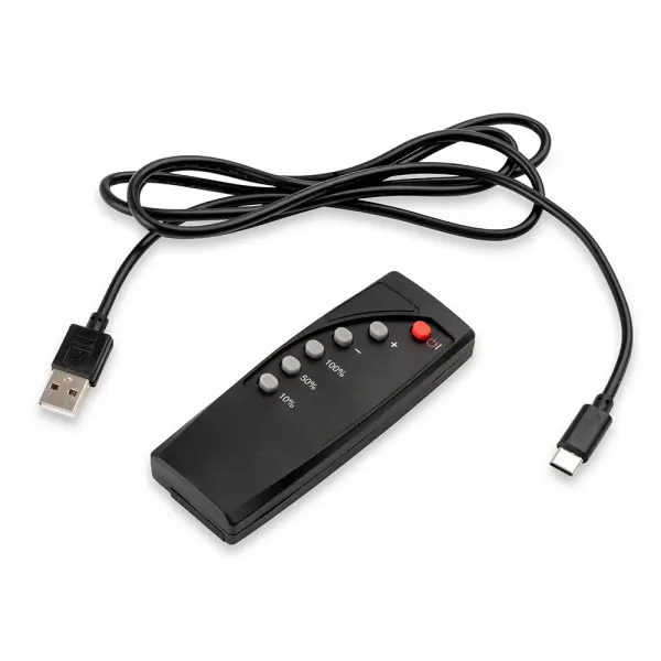 Rechargeable Antique Brass Picture Light