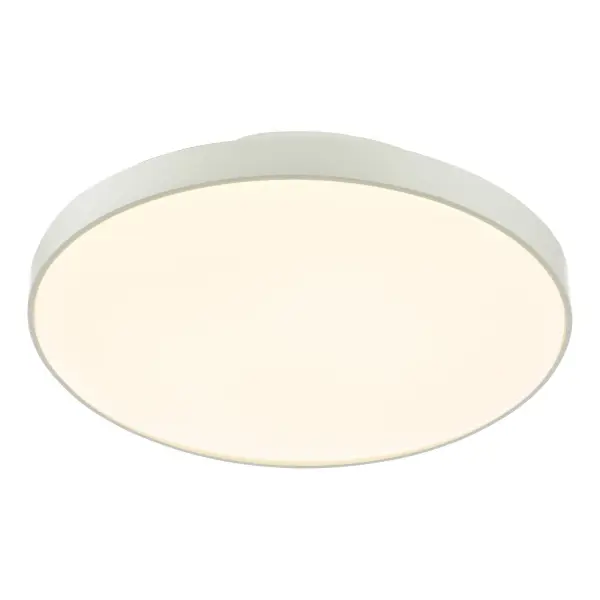 Essien LED Flush Fitting in White IP44