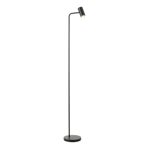 Thierry Matt Black Floor  Lamp