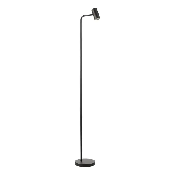 Thierry Matt Black Floor  Lamp