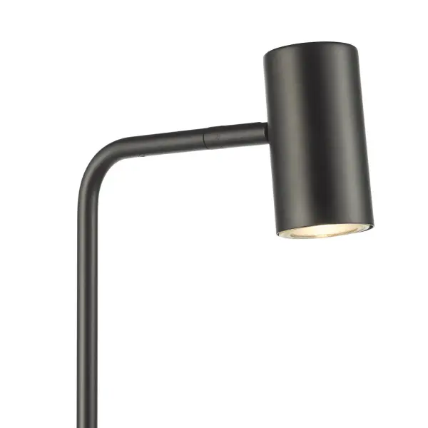 Thierry Matt Black Floor  Lamp