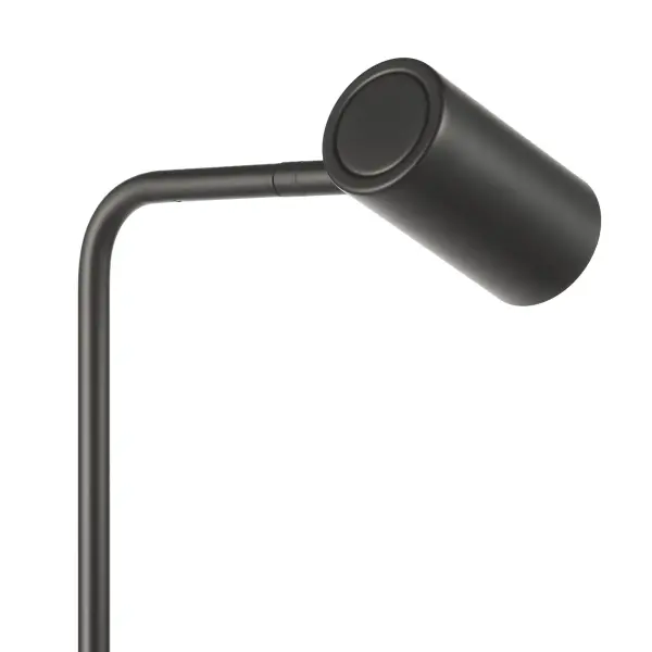 Thierry Matt Black Floor  Lamp