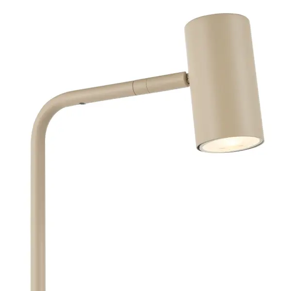 Thierry Matt Taupe Floor Lamp