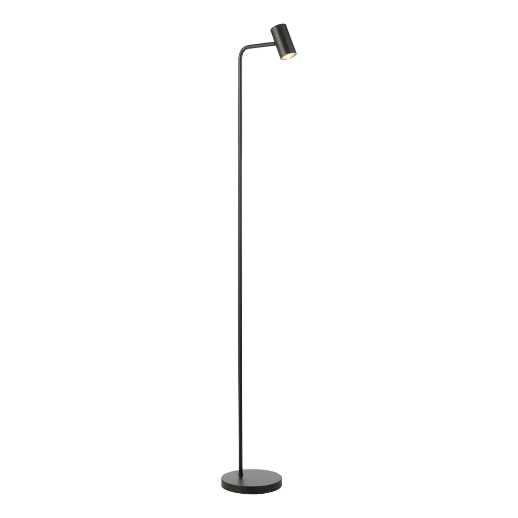 Thierry Matt Black Floor  Lamp