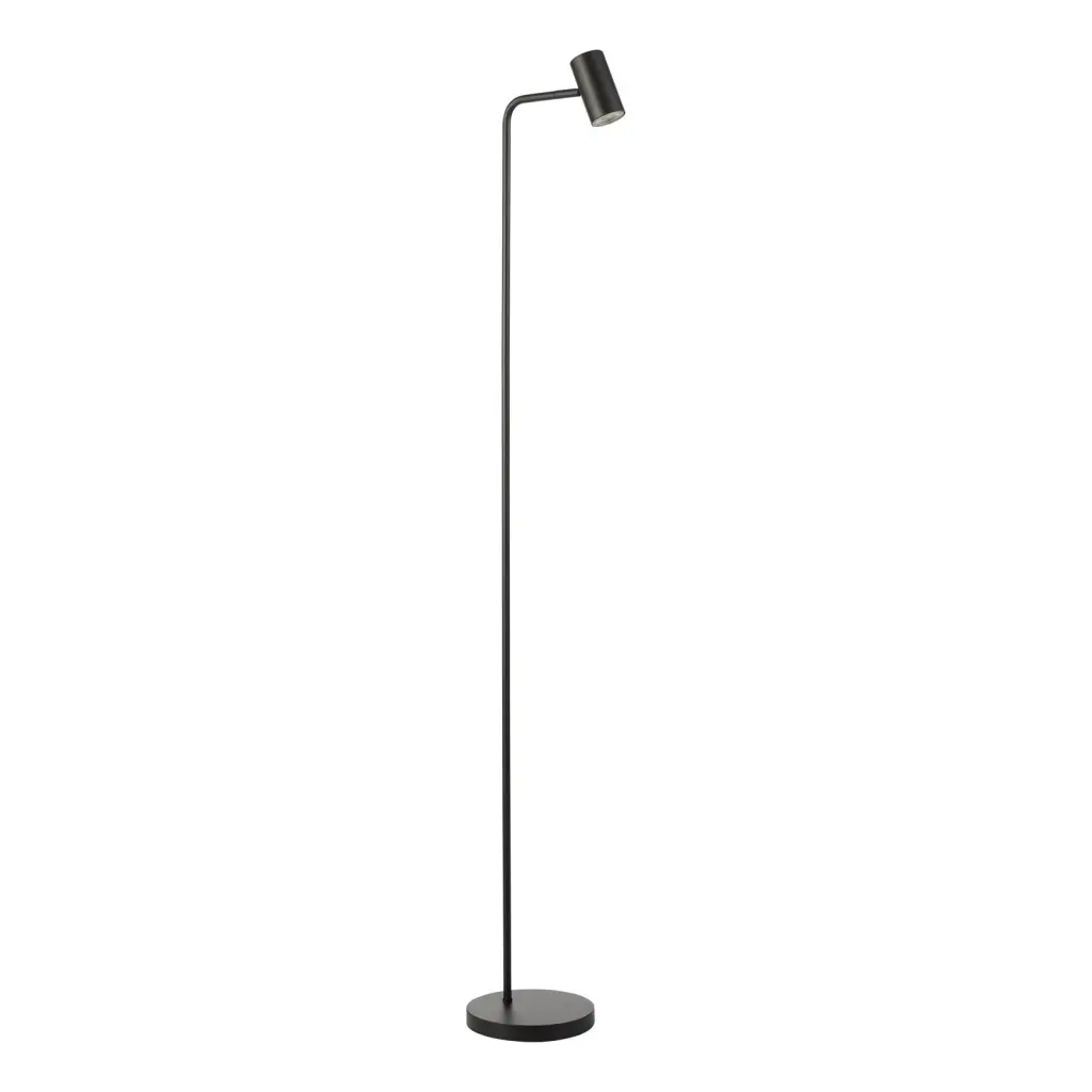 Thierry Matt Black Floor  Lamp