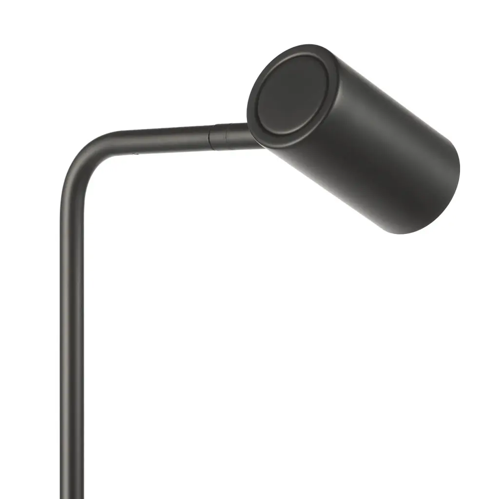 Thierry Matt Black Floor  Lamp