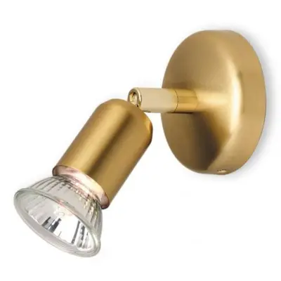 Brushed Brass Adjustable Ceiling Spotlight