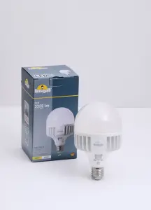 E27 Highpower LED Lamp 30W CCT