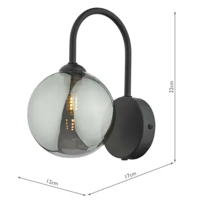 Eisaa Wall Light in Black C/W Smoked Shade