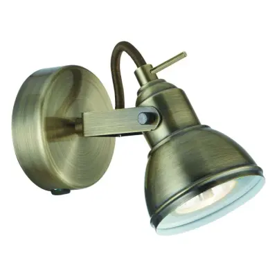 Focus 1 Light Antique Brass Industrial Spotlight