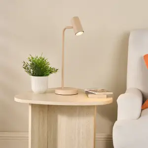 Thierry Matt Taupe Desk Lamp