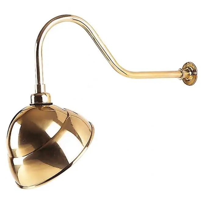 Swan Neck Sign Light in Brass Finish